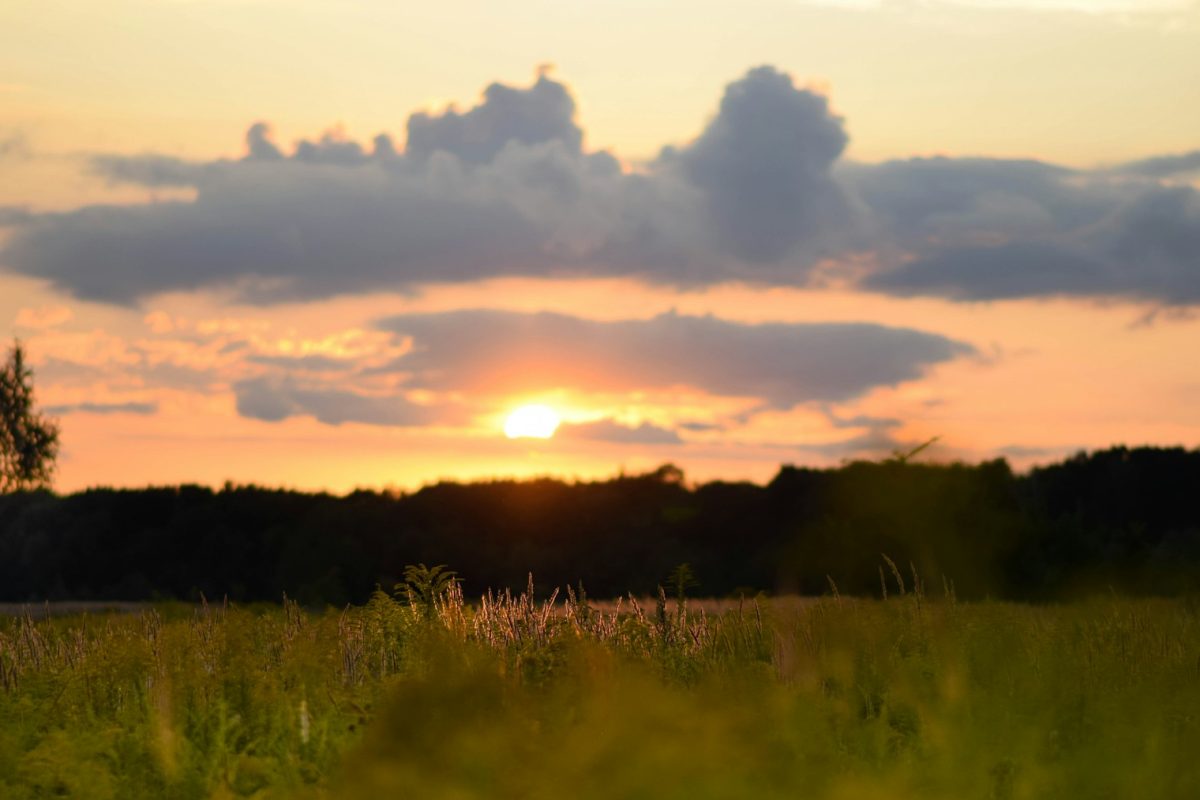 草原の向こうへ沈む晩夏の夕日