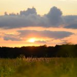 草原の向こうへ沈む晩夏の夕日