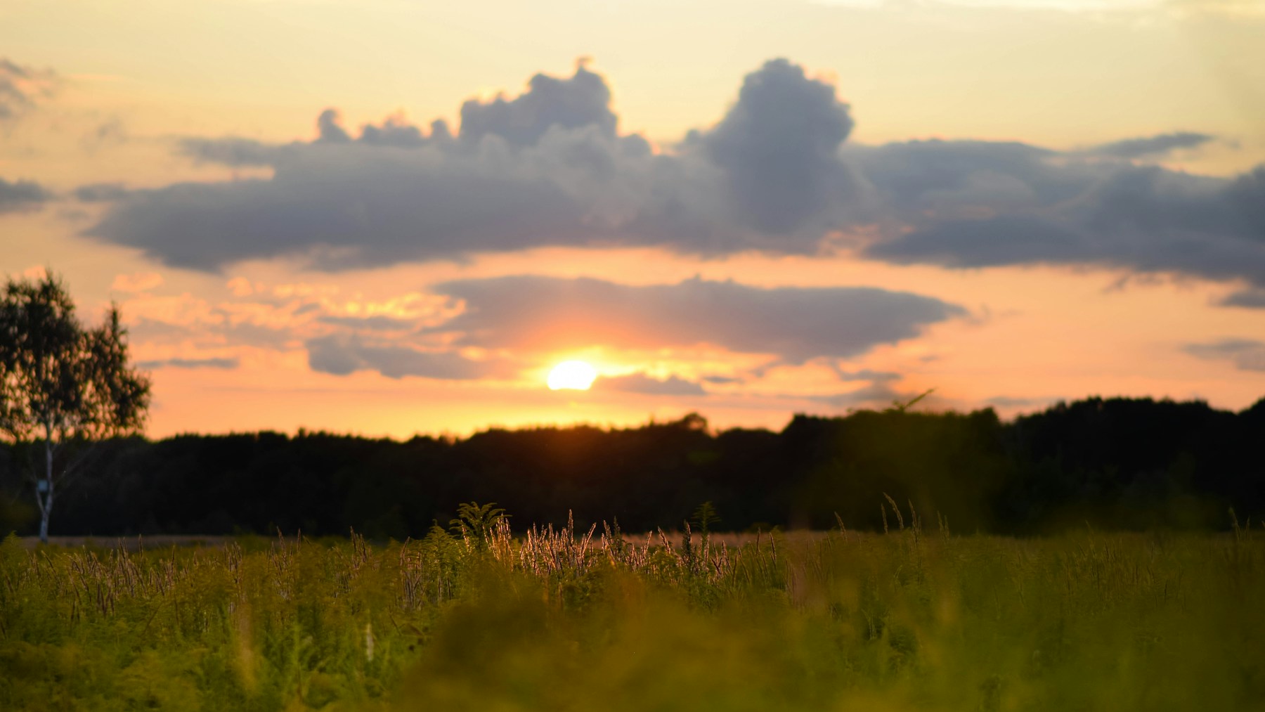 草原の向こうへ沈む晩夏の夕日